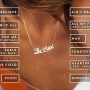 Le texte musical FAKIN de HOODIE ALLEN est également présent dans l'album The hype (2017)