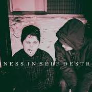 Le texte musical MIND CONTROLLED de THE PLOT IN YOU est également présent dans l'album Happiness in self destruction (2015)