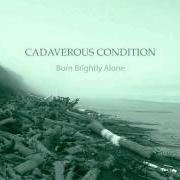 Le texte musical SHORES OF YESTERDAY de CADAVEROUS CONDITION est également présent dans l'album What the waves were always saying (2003)