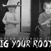 Le texte musical HOLY de FLORIDA GEORGIA LINE est également présent dans l'album Dig your roots (2016)