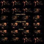 Le texte musical IT'S ALRIGHT, MA (I'M ONLY BLEEDING) de CAETANO VELOSO est également présent dans l'album A foreign sound (2004)