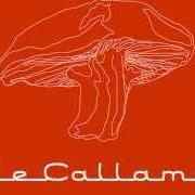 Le texte musical TÍRATE de CAFÉ TACUBA est également présent dans l'album Vale callampa (2002)