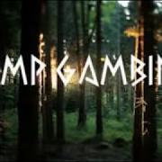Le texte musical BONFIRE de CHILDISH GAMBINO est également présent dans l'album Camp (2011)