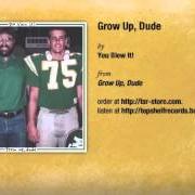Le texte musical MEDAL OF HONOR de YOU BLEW IT est également présent dans l'album Grow up, dude (2012)