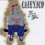 Le texte musical WHIPPING THE HORSE'S EYES de CALEXICO est également présent dans l'album Feast of wire (2003)