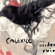 Le texte musical DEEP DOWN de CALEXICO est également présent dans l'album Garden ruin (2006)