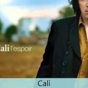 Le texte musical JE NE TE RECONNAIS PLUS de CALI est également présent dans l'album L'espoir (2008)
