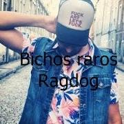 Le texte musical FOTOS ROTAS de RAGDOG est également présent dans l'album Bichos raros (2011)