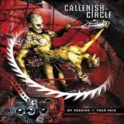 Le texte musical SOUL MESSIAH de CALLENISH CIRCLE est également présent dans l'album My passion // your pain (2003)