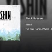 Le texte musical STAND UP de YASHIN est également présent dans l'album Put your hands where i can see them (2010)