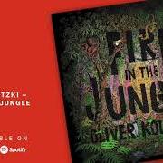 Le texte musical MELTING INTO THE SURROUNDINGS de OLIVER KOLETZKI est également présent dans l'album Fire in the jungle (2019)