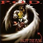 Le texte musical DRAW THE LINE de P.O.D. (PAYABLE ON DEATH) est également présent dans l'album Snuff the punk (1994)