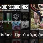 Le texte musical MOT GRAV de PURIFIED IN BLOOD est également présent dans l'album Flight of a dying sun (2012)