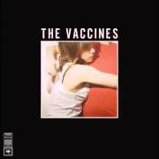 Le texte musical WETSUIT de THE VACCINES est également présent dans l'album What did you expect from the vaccines? (2011)