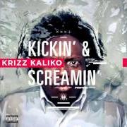 Le texte musical SPAZ de KRIZZ KALIKO est également présent dans l'album Kickin and screamin (2012)