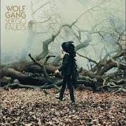 Le texte musical STAY AND DEFEND de WOLF GANG est également présent dans l'album Suego faults (2011)