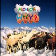 Le texte musical BY TORPEDO OR CROHN'S de WHY? est également présent dans l'album Alopecia (2008)