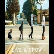 Le texte musical WONDERFUL de CASEY VEGGIES est également présent dans l'album Live & grow (2015)