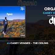 Le texte musical CANDY de CASEY VEGGIES est également présent dans l'album Organic (2019)