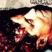 Le texte musical ROT 'N' ROLL de CARCASS est également présent dans l'album Wake up and smell the... carcass (1996)