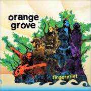 Le texte musical STRESSING de ORANGE GROVE est également présent dans l'album Fingerprint (2009)