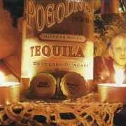Le texte musical GRUBY NIE żYJE 2 de POGODNO est également présent dans l'album Tequila (2003)