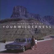 Le texte musical WHERE WE STOOD de THE PINEAPPLE THIEF est également présent dans l'album Your wilderness (2016)