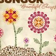 Le texte musical HEAVEN de GUNGOR est également présent dans l'album Beautiful things (2010)