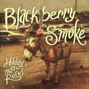 Le texte musical LET ME HELP YOU de BLACKBERRY SMOKE est également présent dans l'album Holding all the roses (2015)