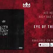Le texte musical BIG FISH de ACE HOOD est également présent dans l'album Body bag 5 (2020)