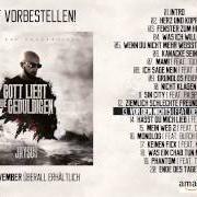 Le texte musical ICH SAGE NEIN de JAYSUS est également présent dans l'album Gott liebt die geduldigen (2014)