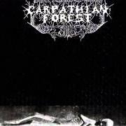 Le texte musical BLACK SHINING LEATHER de CARPATHIAN FOREST est également présent dans l'album Black shining leather (1998)