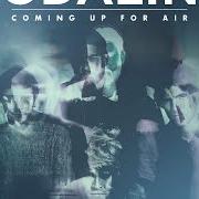 Le texte musical COMING ALIVE de KODALINE est également présent dans l'album Coming up for air (2015)