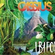 Le texte musical PONCE de CASSIUS est également présent dans l'album Ibifornia (2016)