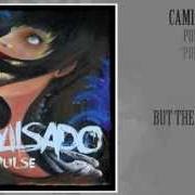 Le texte musical THE DISEASE IS ME de CAMISADO est également présent dans l'album Pulse - ep (2011)