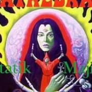Le texte musical THE VOYAGE OF THE HOMELESS SAPIEN de CATHEDRAL est également présent dans l'album Statik majik (1994)