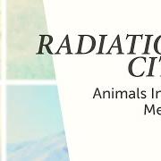 Le texte musical FOREIGN BODIES de RADIATION CITY est également présent dans l'album Animals in the median (2013)