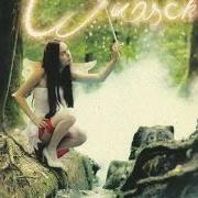 Le texte musical JUNGFERNKRANZ de FEUERSCHWANZ est également présent dans l'album Wunsch ist wunsch (2011)
