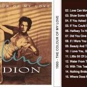 Le texte musical ONLY ONE ROAD de CELINE DION est également présent dans l'album The colour of my love (1993)
