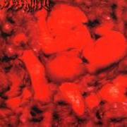 Le texte musical MULTIPURPOSE UTILIZATION FROM LUSTLY SHREDDEDS SCUMMY VAGINAL DISCHARGE de CENOTAPH est également présent dans l'album Puked genital purulency (1999)