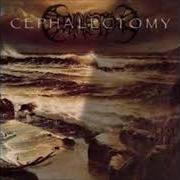 Le texte musical SHROUD OF MYSTICISM de CEPHALECTOMY est également présent dans l'album Dark waters rise (1998)