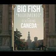 Le texte musical NON SI TORNA INDIETRO de BIG FISH est également présent dans l'album Niente di personale (2013)
