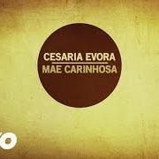 Le texte musical QUEM TEM ODIO de CESARIA EVORA est également présent dans l'album Mãe carinhosa (2013)
