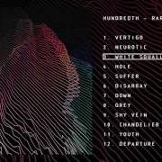 Le texte musical SHY VEIN de HUNDREDTH est également présent dans l'album Rare (2017)
