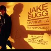 Le texte musical ME AND YOU de JAKE BUGG est également présent dans l'album Shangri la (2013)