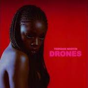 Le texte musical LEIMERT PARK de TERRACE MARTIN est également présent dans l'album Drones (2021)