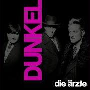 Le texte musical SCHREI de DIE ÄRZTE est également présent dans l'album Dunkel (2021)