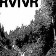 Le texte musical TALLEST TREE de RVIVR est également présent dans l'album Dirty water (2010)