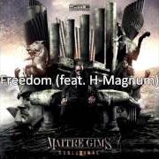 Le texte musical FREEDOM de MAÎTRE GIMS est également présent dans l'album Subliminal la face cachée (2013)