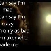 Le texte musical STRAY DOG de PASSENGER (UK) est également présent dans l'album Wicked man's rest (2007)